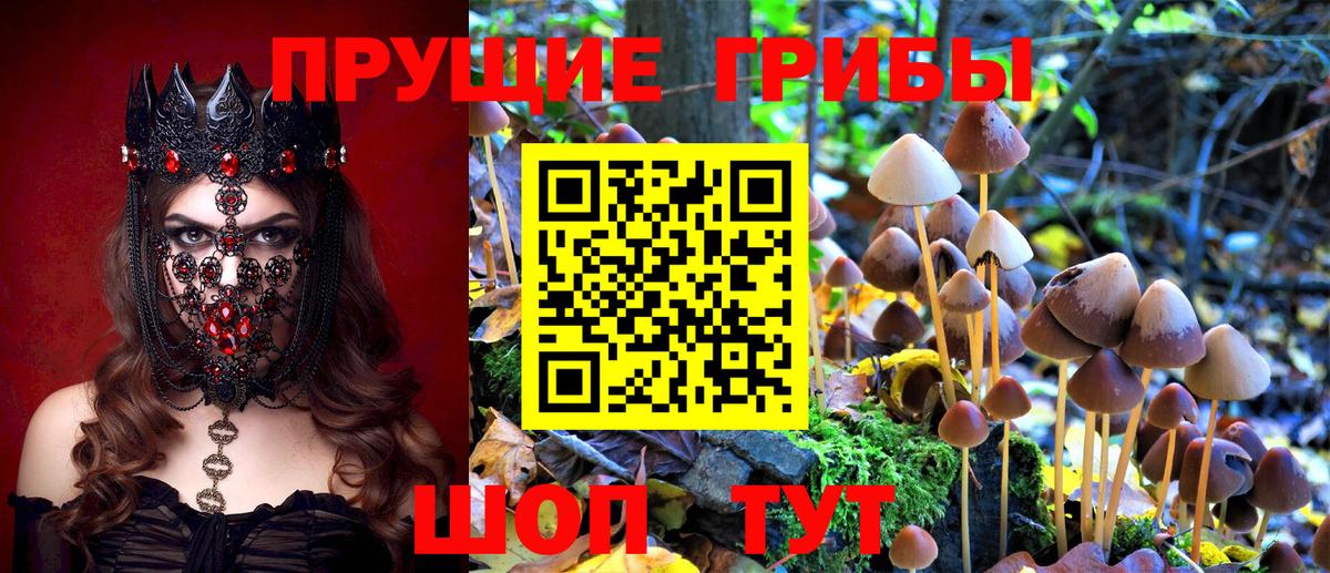 Галлюциногенные грибы мицелий  Вход с VPN  Железноводск 