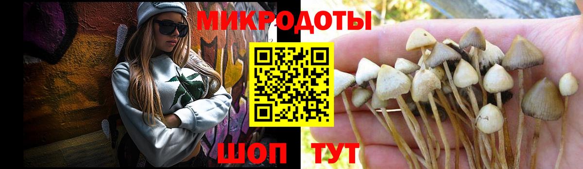 Псилоцибиновые грибы Psilocybine cubensis Железноводск